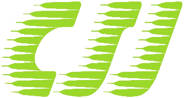 CSJ GROUP